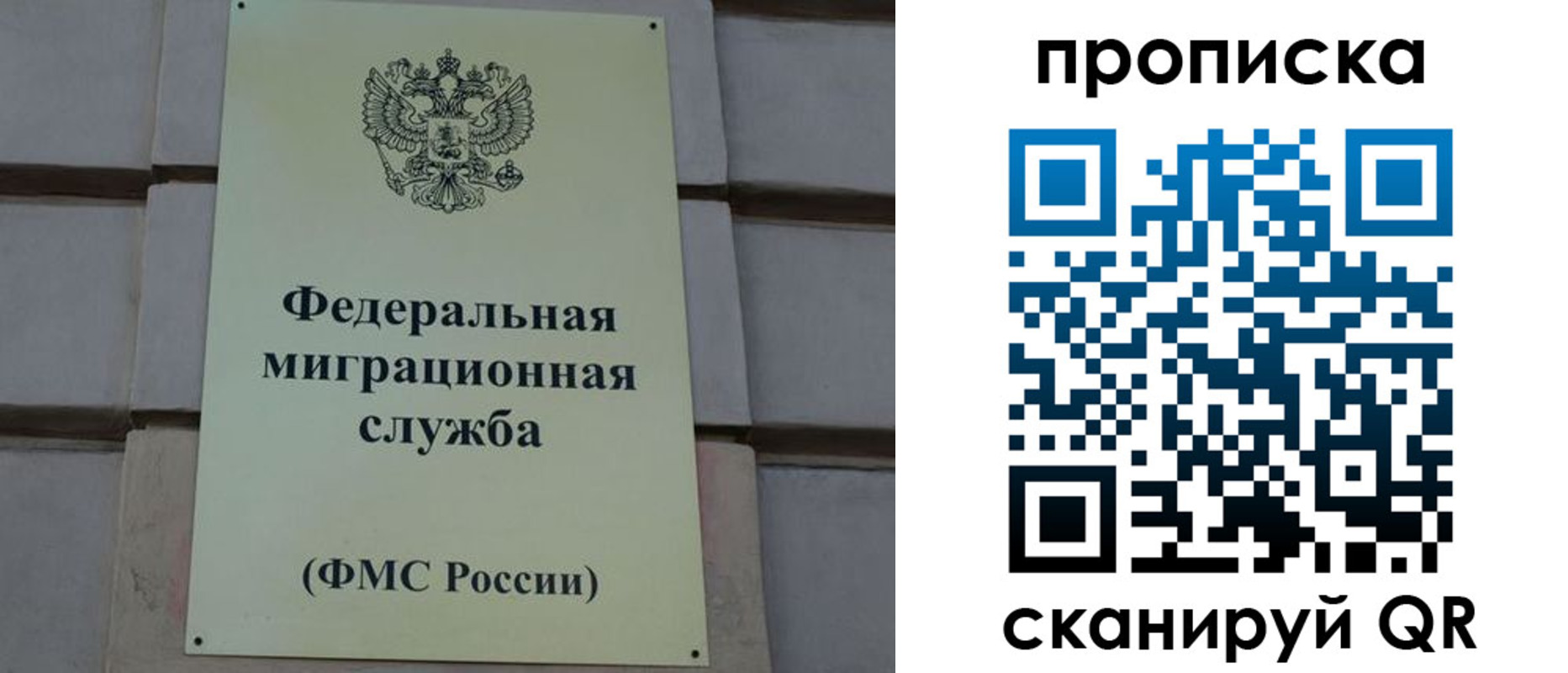 прописка поиск в Кукморе